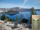 Algue Bleue du lac Klamath: Afa Klamath de Phytolux. Etude scientifique italienne du Dr S. Scoglio: http://forum.doctissimo.fr/nutrition/alimentation-sante/algue-bleue-klamath-sujet_165679_1.htm